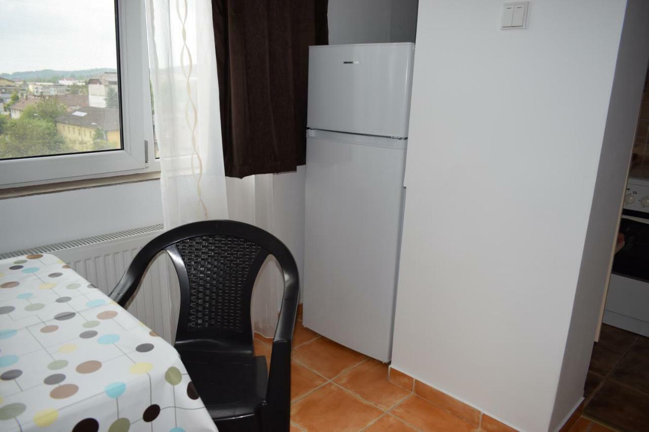 Apartament Hospital View Independentei Rhbm Baia Mare Dış mekan fotoğraf